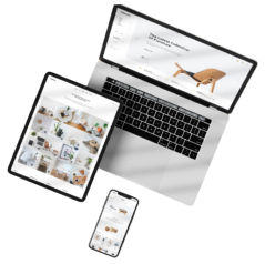 laptops